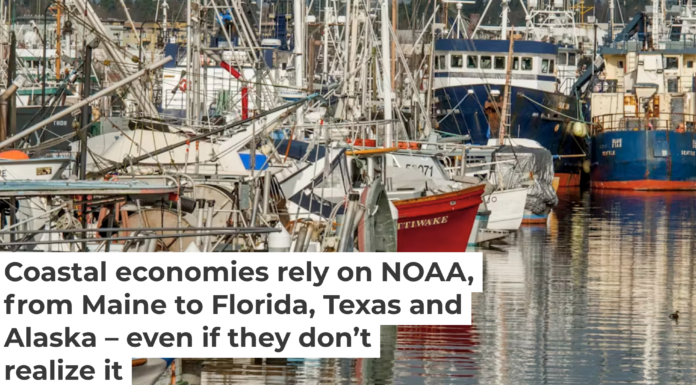 U.S. fishing industries, both commercial and recreational, rely on healthy coastal areas. Wolfgang Kaehler/LightRocket via Getty Images